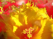 Einladungskarte-klein