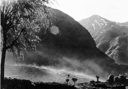 zum Artikel zum Artikel