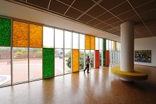 neu_DSC_1335_150h