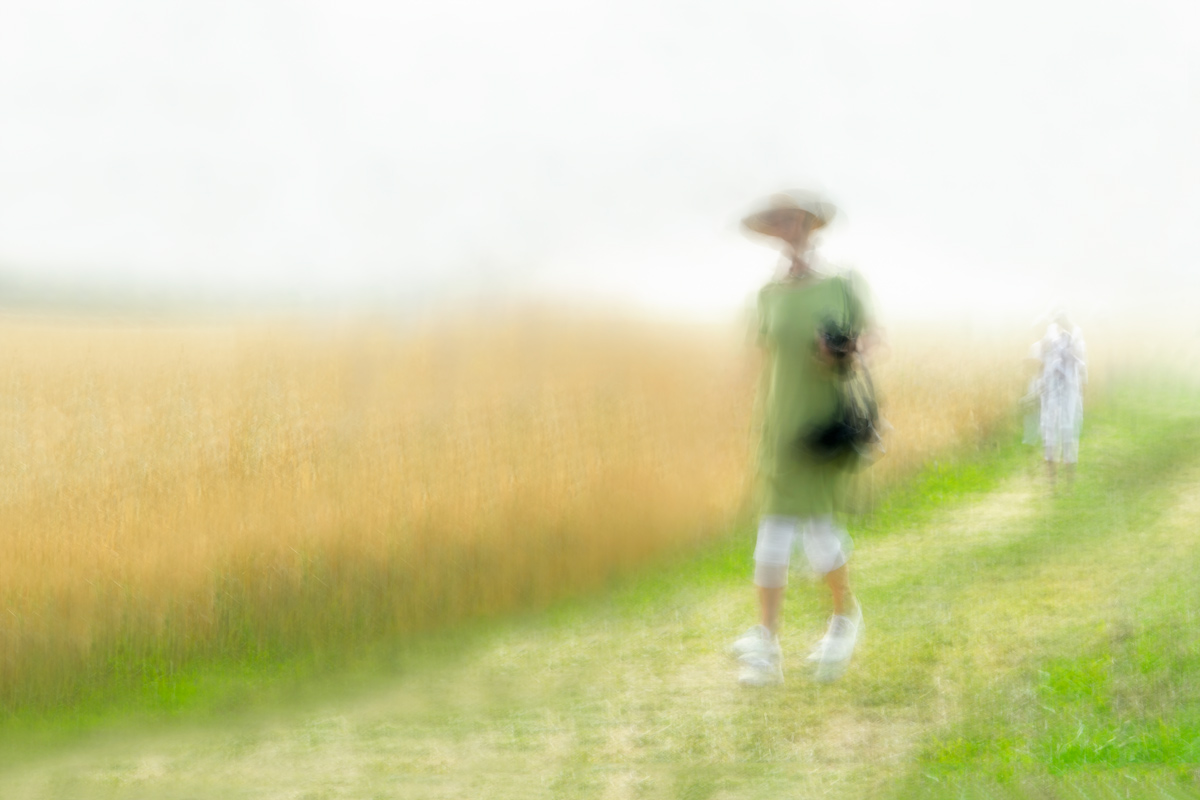 betty-schmidt-die-frau-in-gruen